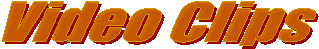 titlebelt.net